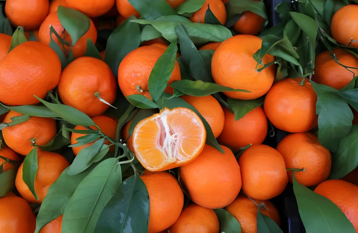 Sådan kender du Sweet and Tasty Mandarins: Brug ikke på disse Sour og Full Ponds, Lær at genkende Them