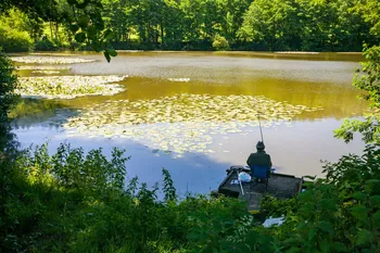 Den bedste agn til fiskeri i varmen. Hvad er det for noget?