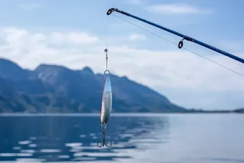 Fiskeri med flådstang. De vigtigste punkter i fiskeriet