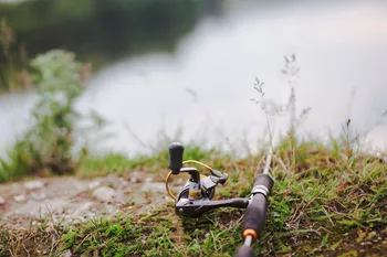 Fungerende agn til flodfiskeri: små fisk er ikke egnede, men store fisk fanges oftere